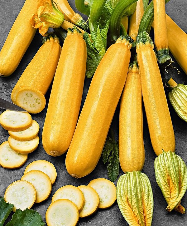 Zucchini "gelbe"